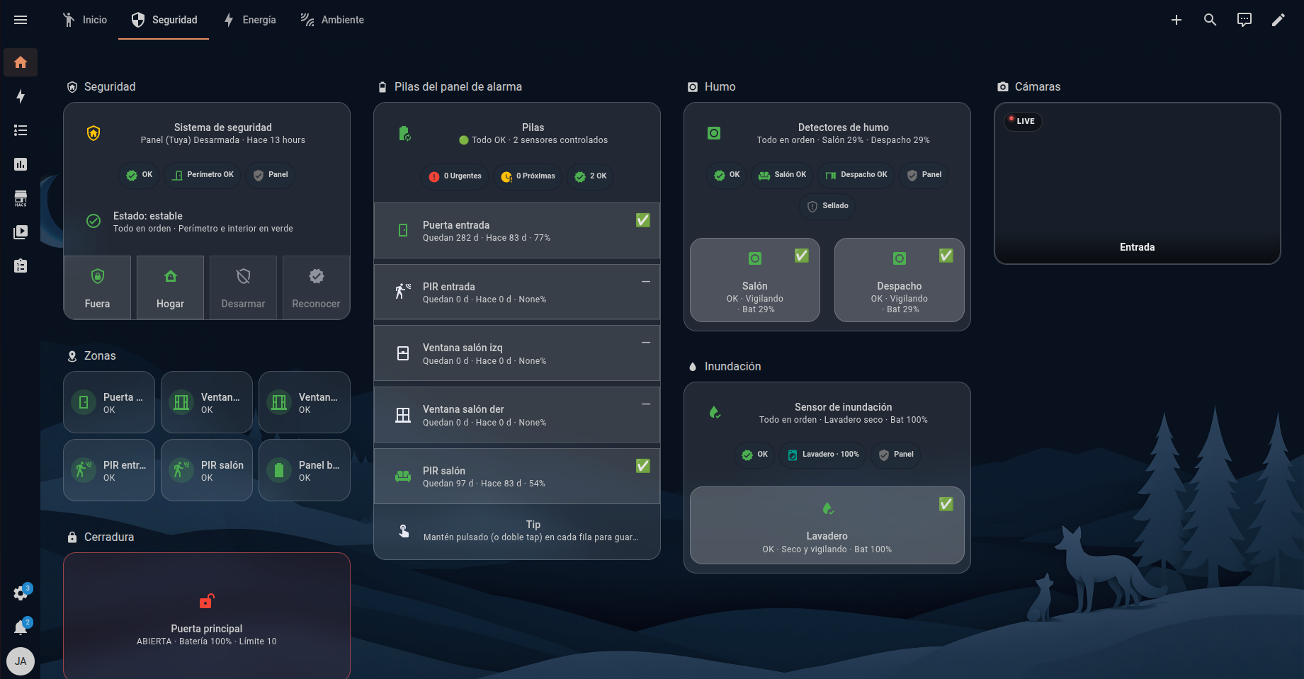 Home Assistant — dashboard de seguridad y cámaras